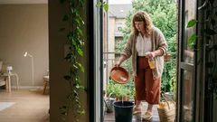 Kein Einnebeln nötig: Diese kleine Routine macht die Wohnung mückenärmer